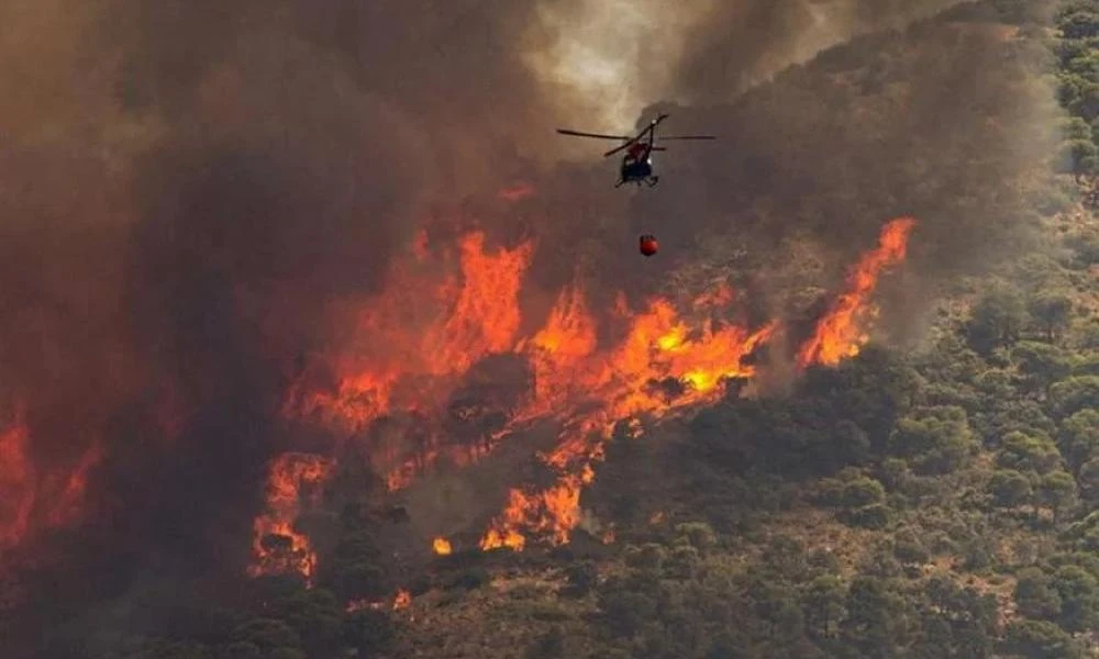 Φωτιά στον Έβρο: Στάχτη σχεδόν το 60% του δάσους της Δαδιάς